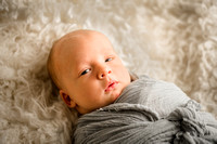 Heidi Roy- Infant-1008