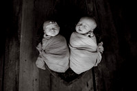 Heidi Roy- Infant-1016